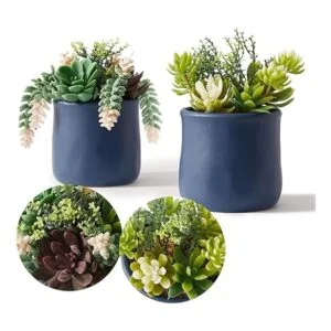 Astridia Suculentas artificiales en macetas de cerámica_2