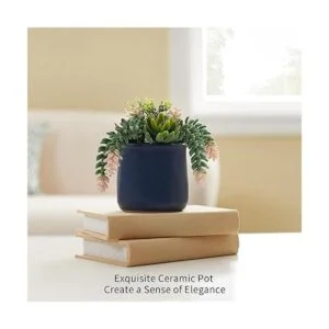 Astridia Suculentas artificiales en macetas de cerámica_4