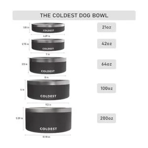 The Coldest Dog Bowl El plato de alimento para perro que_6