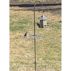 Paquete de 2 deflectores de ardilla de vidrio transparente_6