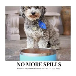 The Coldest Dog Bowl El plato de alimento para perro que_4