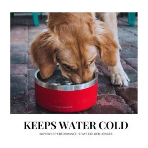 The Coldest Dog Bowl El plato de alimento para perro que_3