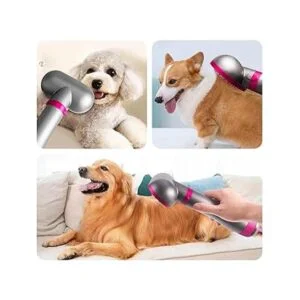Cepillo secador de pelo para mascotas secador de pelo_6