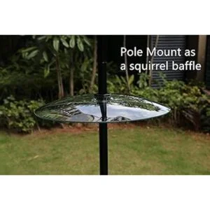 Paquete de 2 deflectores de ardilla de vidrio transparente_4