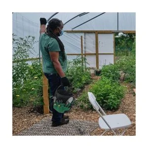 Organizador de herramientas de jardinería verde kit de_2