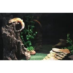 PennPlax Reptología. Repisa de pizarra para acuarios y_4