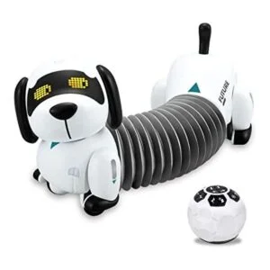 Dollox robot perro perro perro perro perro perro perro_1