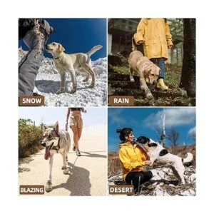 Hcpet Botas de perro transpirables para perros pequeños_4