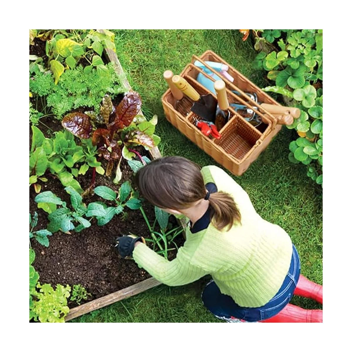 SOLIGT Herramientas de mano de jardinería de 8 piezas con_6