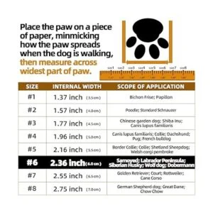 Hcpet Botas de perro transpirables para perros pequeños_3