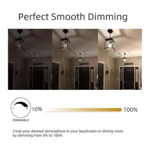 OMED Lighting Bombilla LED Edison de gran tamaño de 5 W y_4