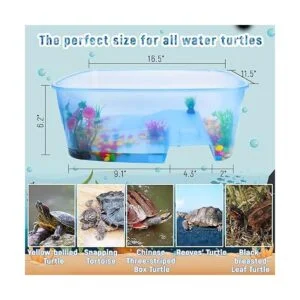 Rypet Kit de inicio de tanque de tortuga para bebé_2