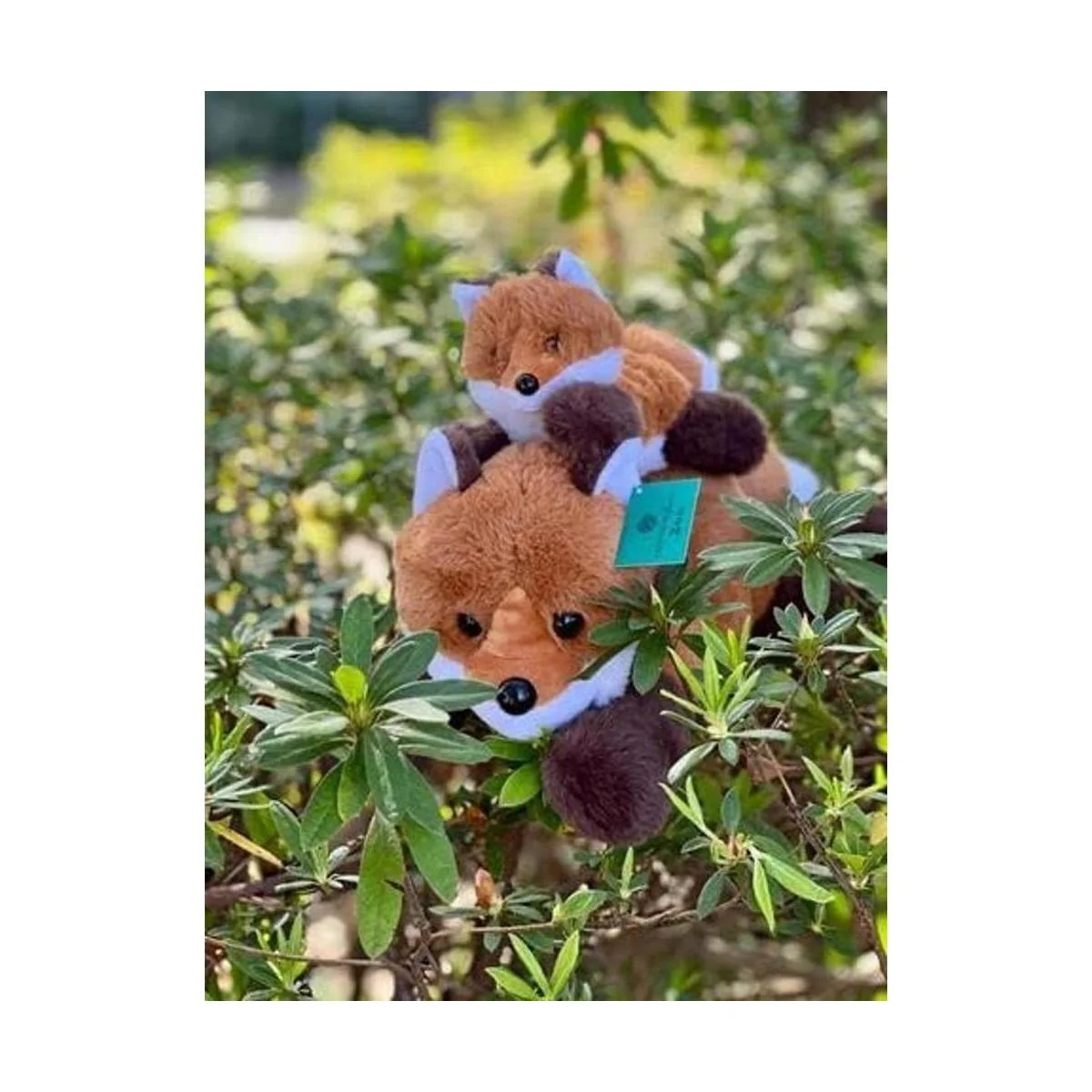 Foxes Oh So Soft Plush Animales Juego de regalo de_6