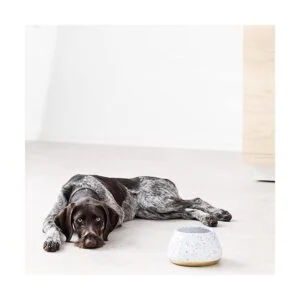 Navaris Cuenco de cerámica para perros Cuenco de agua y_6