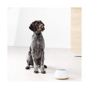 Navaris Cuenco de cerámica para perros Cuenco de agua y_3