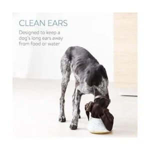 Navaris Cuenco de cerámica para perros Cuenco de agua y_2