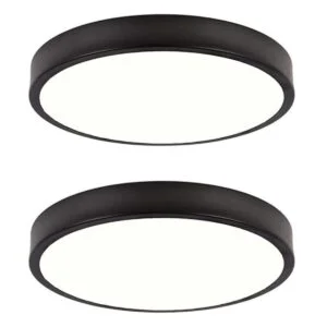 SOTTAE Paquete de 2 lámparas de techo LED de montaje_1