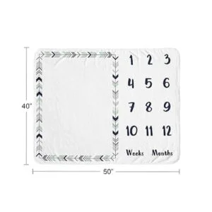 Sweet Jojo Designs Woodland Arrow Boy or Girl Milestone_4