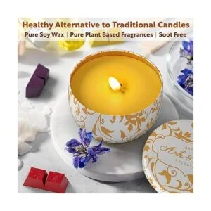 ASH HARRY Kit de fabricación de velas prémium con sede_4