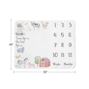 Sweet Jojo Designs Manta mensual para recién nacido_4