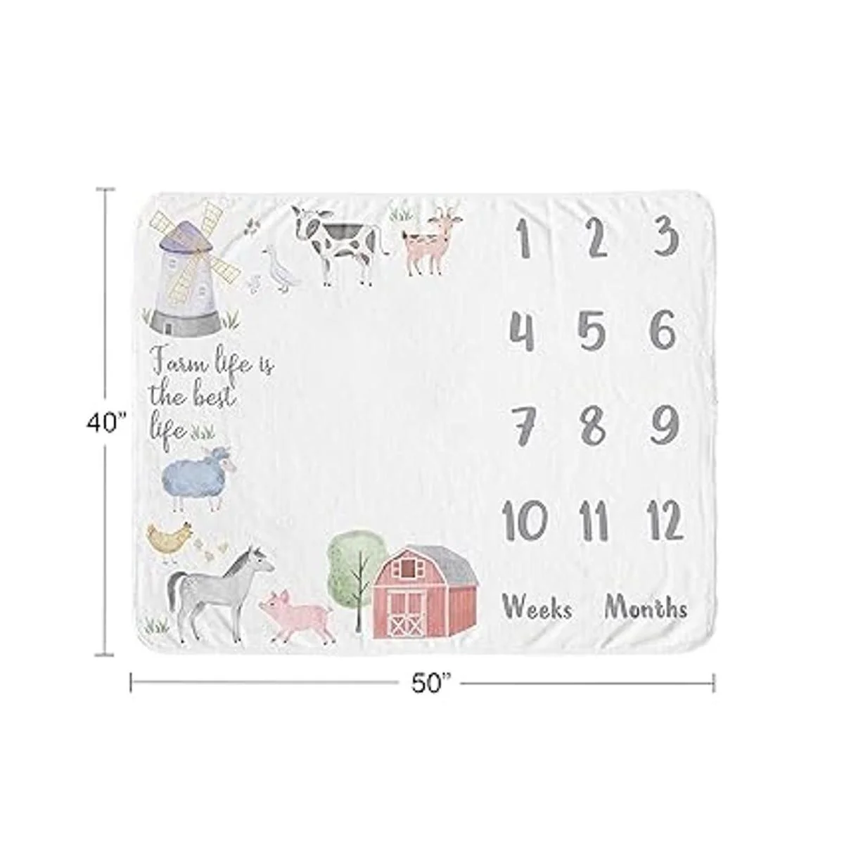 Sweet Jojo Designs Manta mensual para recién nacido_4