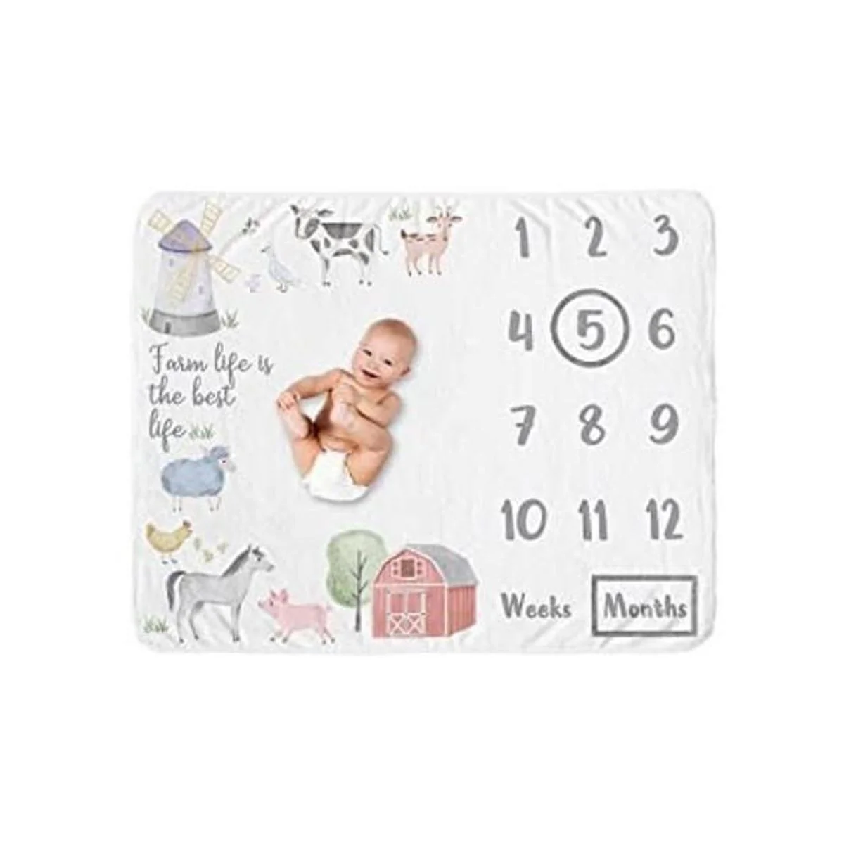 Sweet Jojo Designs Manta mensual para recién nacido_1