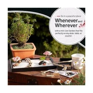 Allowander Zen Garden para escritorio bandeja de arena de_4