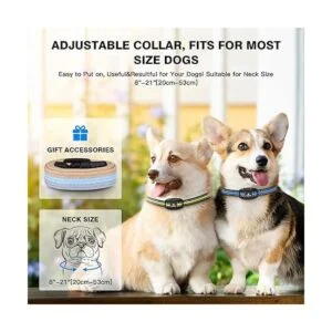 Laptom Pro Paquete de 2 collares inteligentes para_6