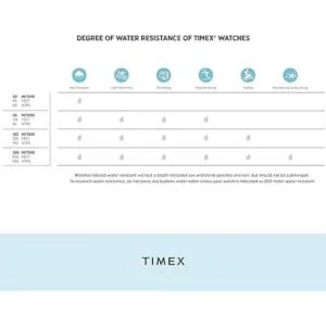Timex Essex Avenue reloj_6