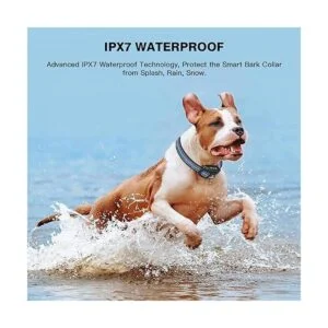 Laptom Pro Paquete de 2 collares inteligentes para_7