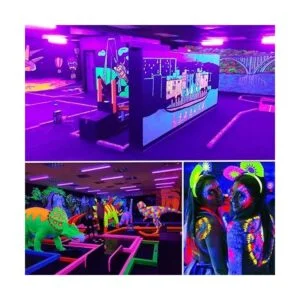 PIZHLO Paquete de 4 barras de luz negra de 30 W luz de_7