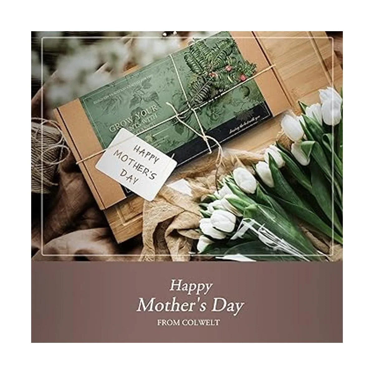 Colwelt Juego de herramientas de jardín 8 piezas_5