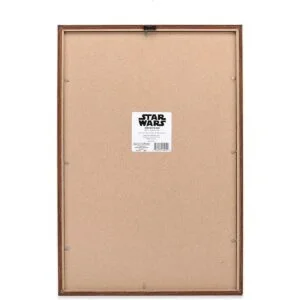 Open Road Brands Disney Star Wars in This House Family_3