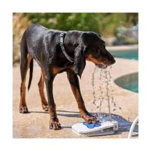 Pet Fit For Life Juguete de rociador de fuente de agua_6