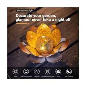 AIINY Luz solar para jardín al aire libre 2 unidades_2