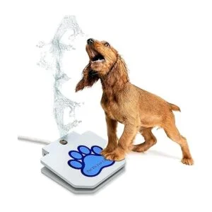 Pet Fit For Life Juguete de rociador de fuente de agua_3