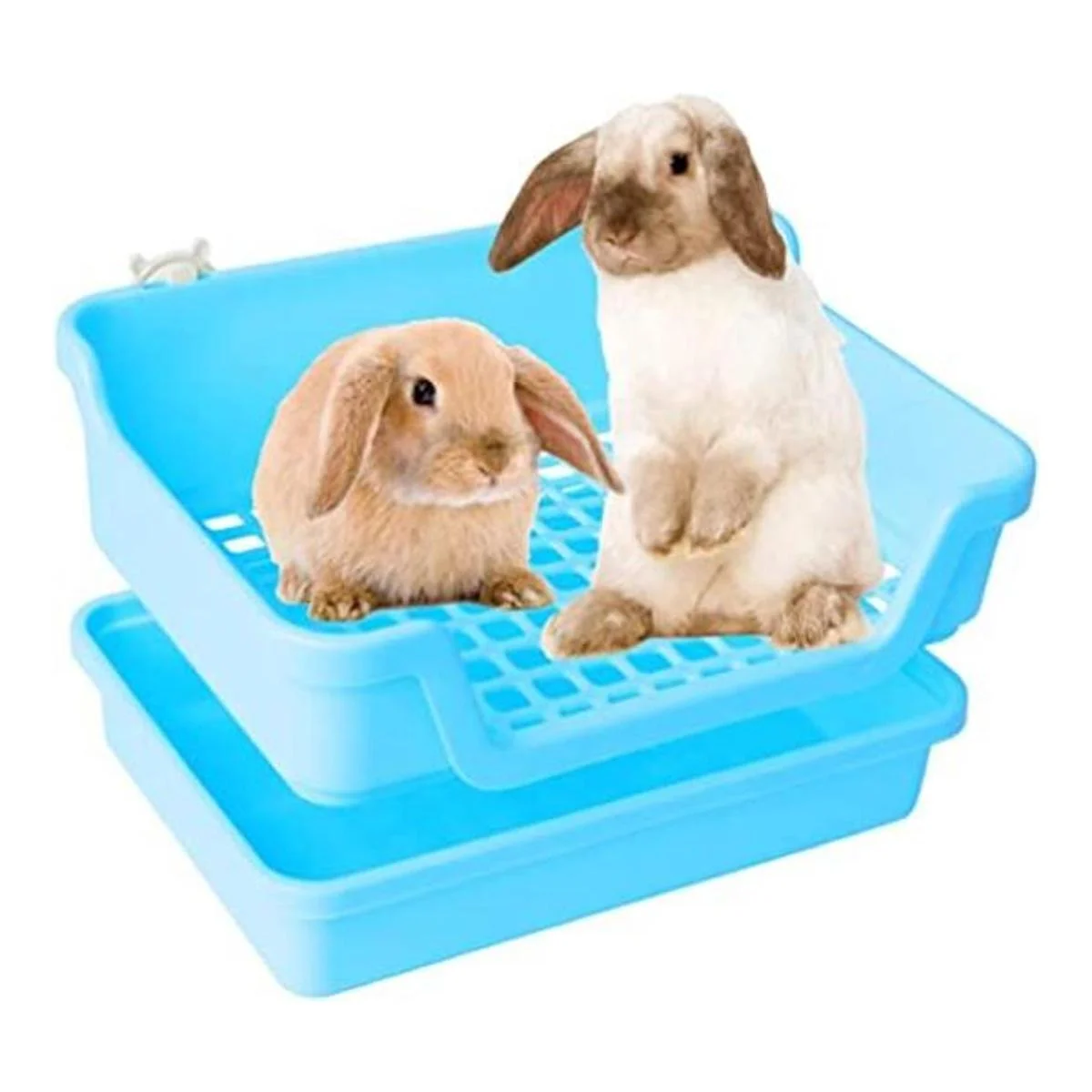 HoppScotch.bun Caja de arena grande para conejos con_1