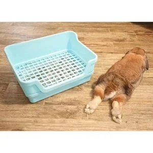 HoppScotch.bun Caja de arena grande para conejos con_5