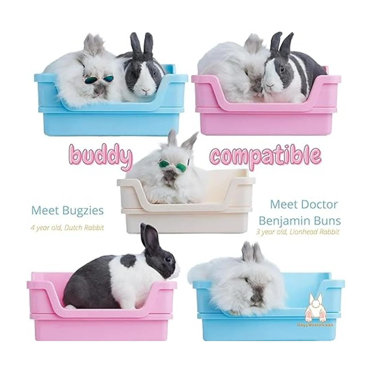 HoppScotch.bun Caja de arena grande para conejos con_6