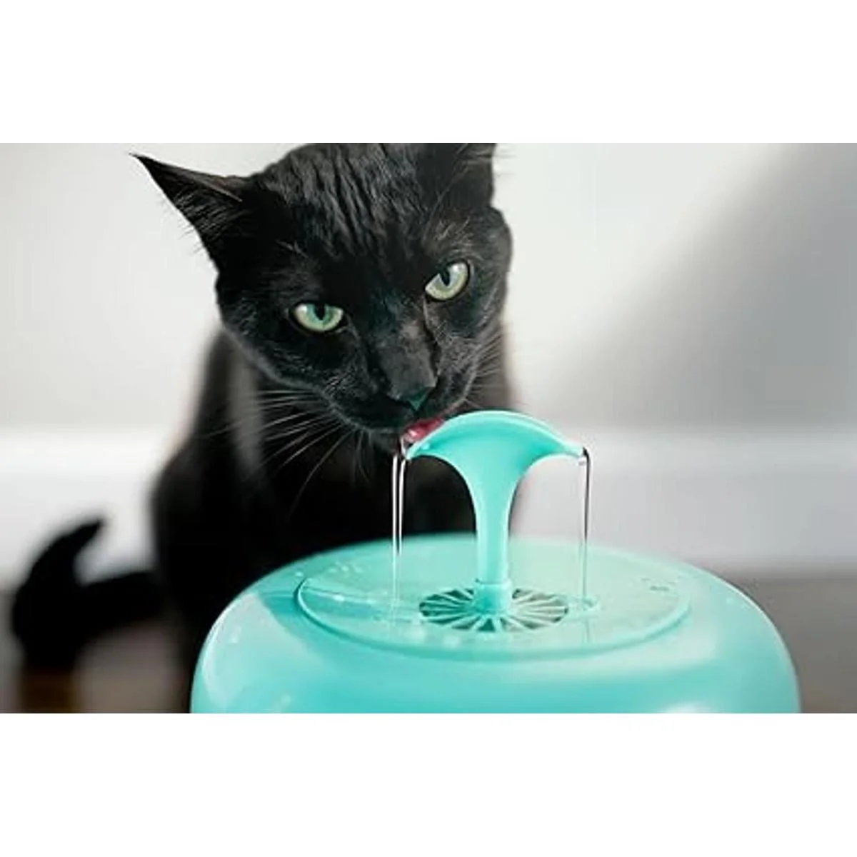 IntelliLeash PURRoducts Purrfect Fuente de agua para_3