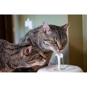 IntelliLeash PURRoducts Purrfect Fuente de agua para_4