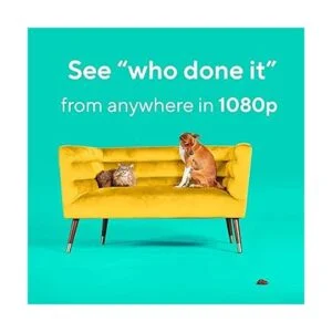 Wyze Cam Pan v2 Cámara para mascotas de 360 de 2.4 GHz_6