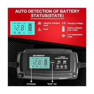 ECOWORTHY Cargador de batería inteligente automático de 5_3