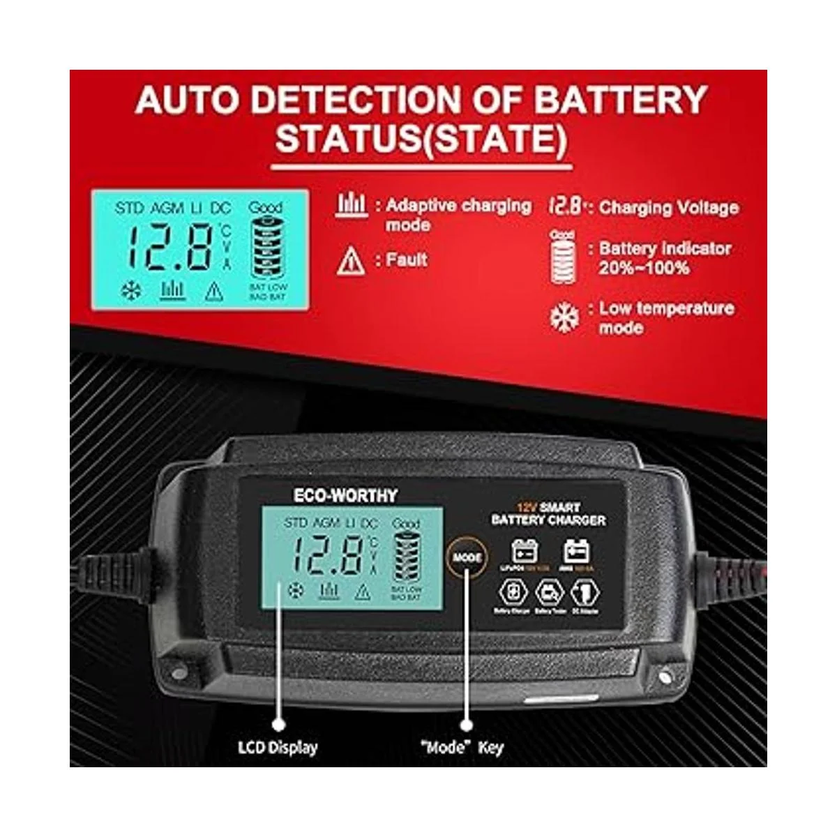 ECOWORTHY Cargador de batería inteligente automático de 5_3