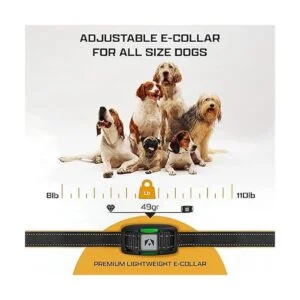 INVIROX Collar de choque para perros grandes edición_6