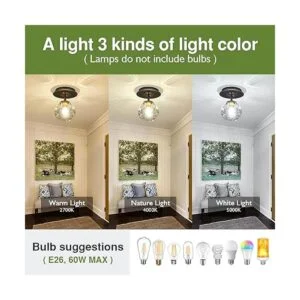 Szxykeji Lámpara de techo de 1 bombilla de techo con_3