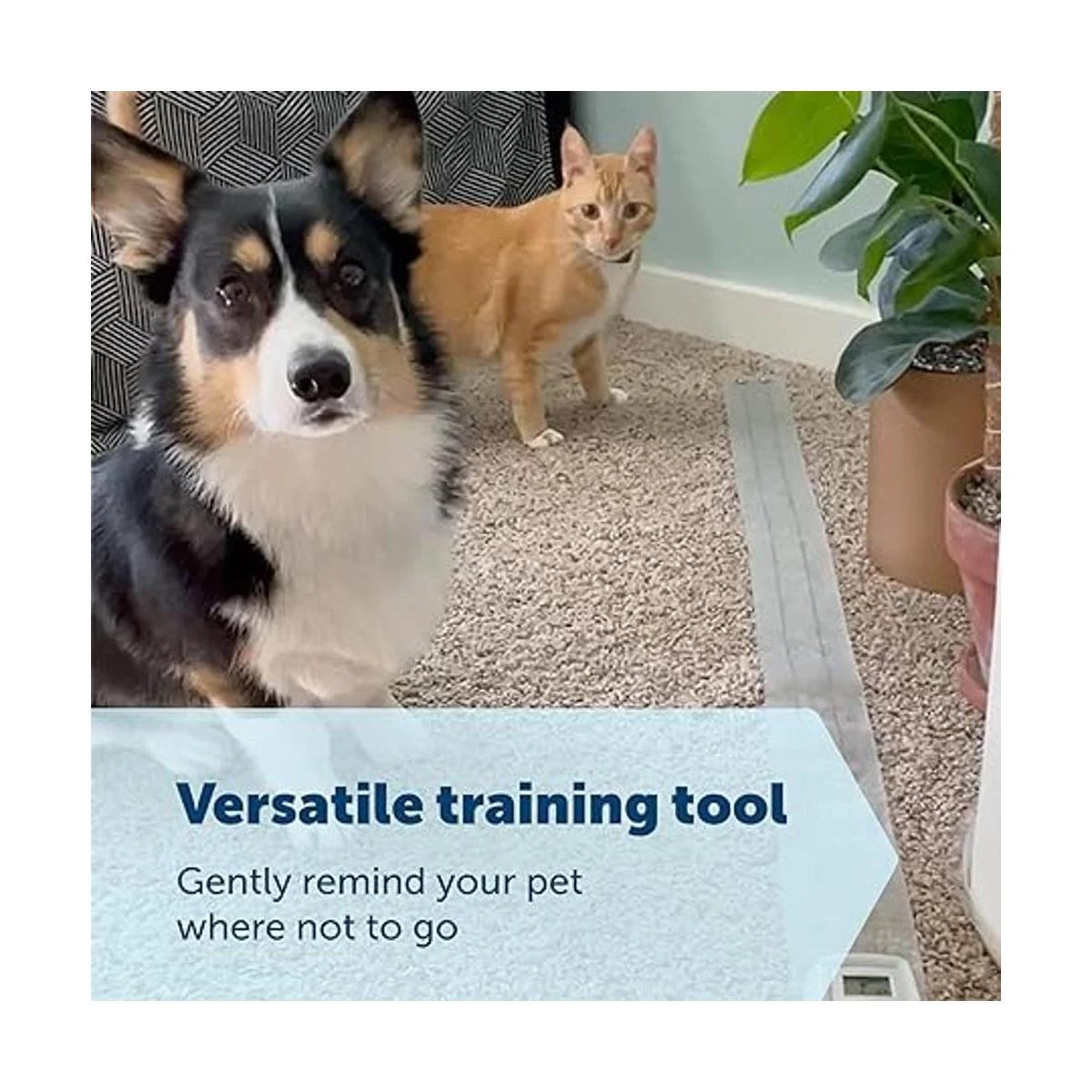 PetSafe ScatMat Tapete de entrenamiento para mascotas 7_4