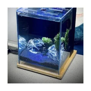 LANDEN Nature Stones for Aquascaping Rocks for Aquarium_5