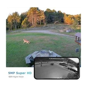 Reolink Cámara de seguridad para exteriores cámara WiFi_3