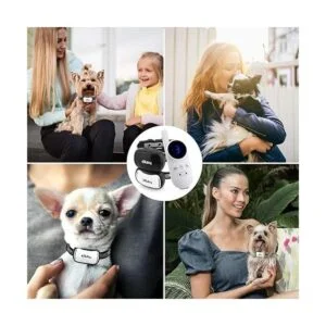 eXuby Pequeño collar de doble choque Collar más pequeño_2